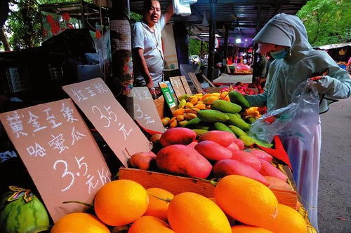 文明守護人間煙火氣——南寧地攤經(jīng)濟下的日用百貨銷售觀察